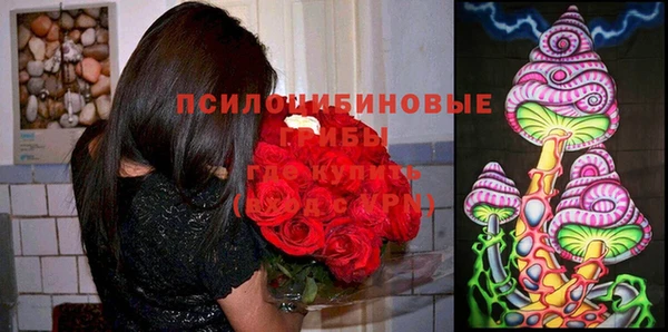 не бодяженный Верхний Тагил