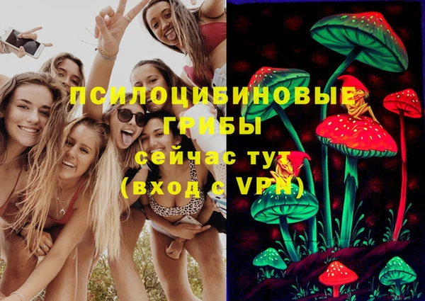 не бодяженный Верхний Тагил