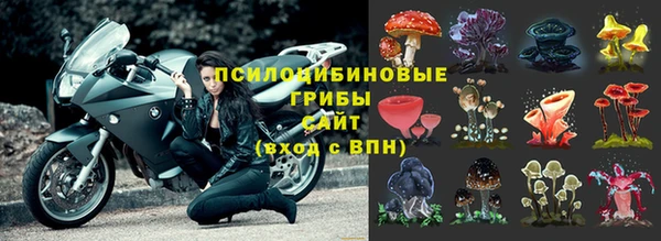 прущие крисы Верея
