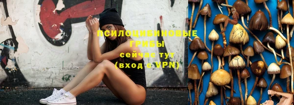 не бодяженный Верхний Тагил