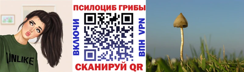 omg ссылка  сайты даркнета телеграм  Псилоцибиновые грибы MAGIC MUSHROOMS  наркошоп  Иркутск 