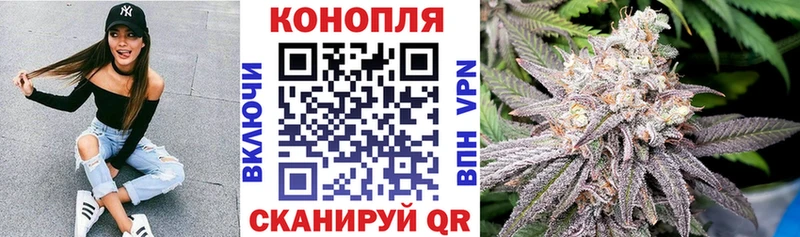 Бошки Шишки OG Kush  МЕГА   Иркутск  сколько стоит 