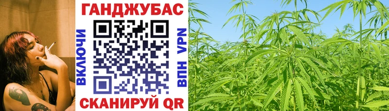 Шишки марихуана Amnesia Иркутск